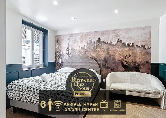 3 Studios Haut De Gamme Immeuble Chic Centre